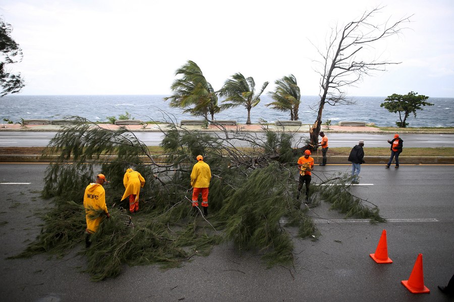 epa06190747 Public Works staff remove a fallen tree at the esplanade in Santo Domingo, Dominican Republic, 07 September 2017. The Dominican Republic increased the number of provinces under red alert for hurricane Irma from 17 to 24. EPA/Roberto Guzman