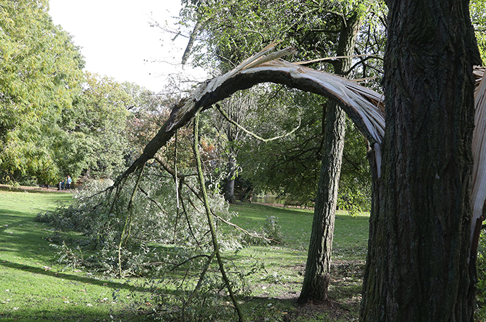 cd78e467-cbdc-4f6f-ad1c-5b9313c95259