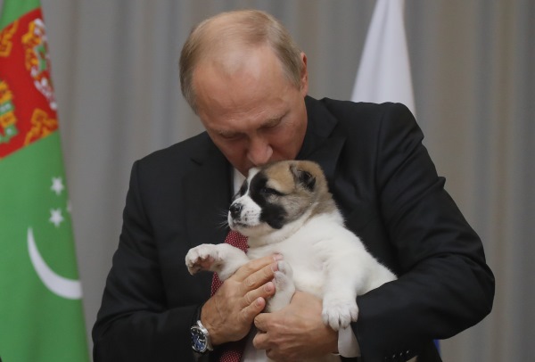 putin_dog4