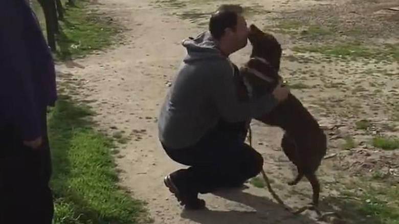 4638599400000578-5071825-image-m-21_1510359120189 (1)