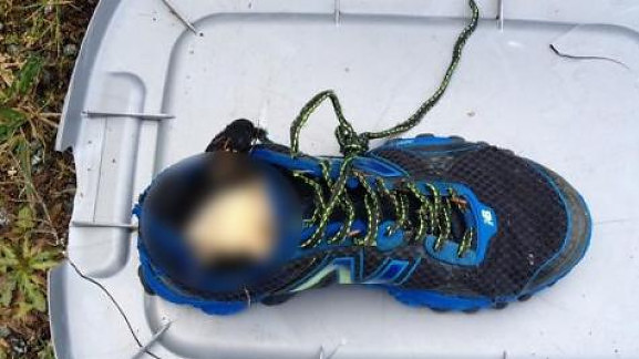 foot_607_364_577_324