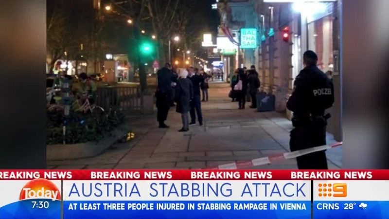 Austria.stabbing.attack.2540076170001_5747117291001_5747109299001-vs-800x450