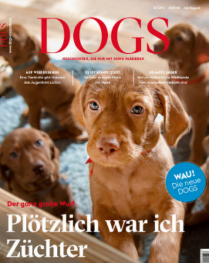 periodiko-dogs
