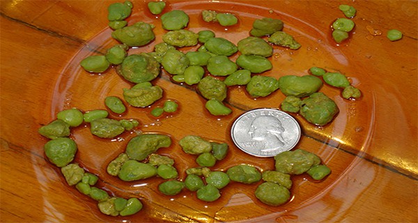 PETRES