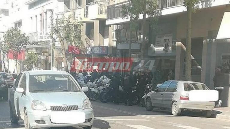ant foto