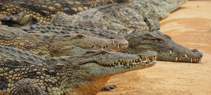 crocs-708_1