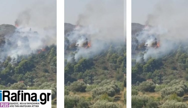 fotia_pikermi05072019_collage-2-750x430