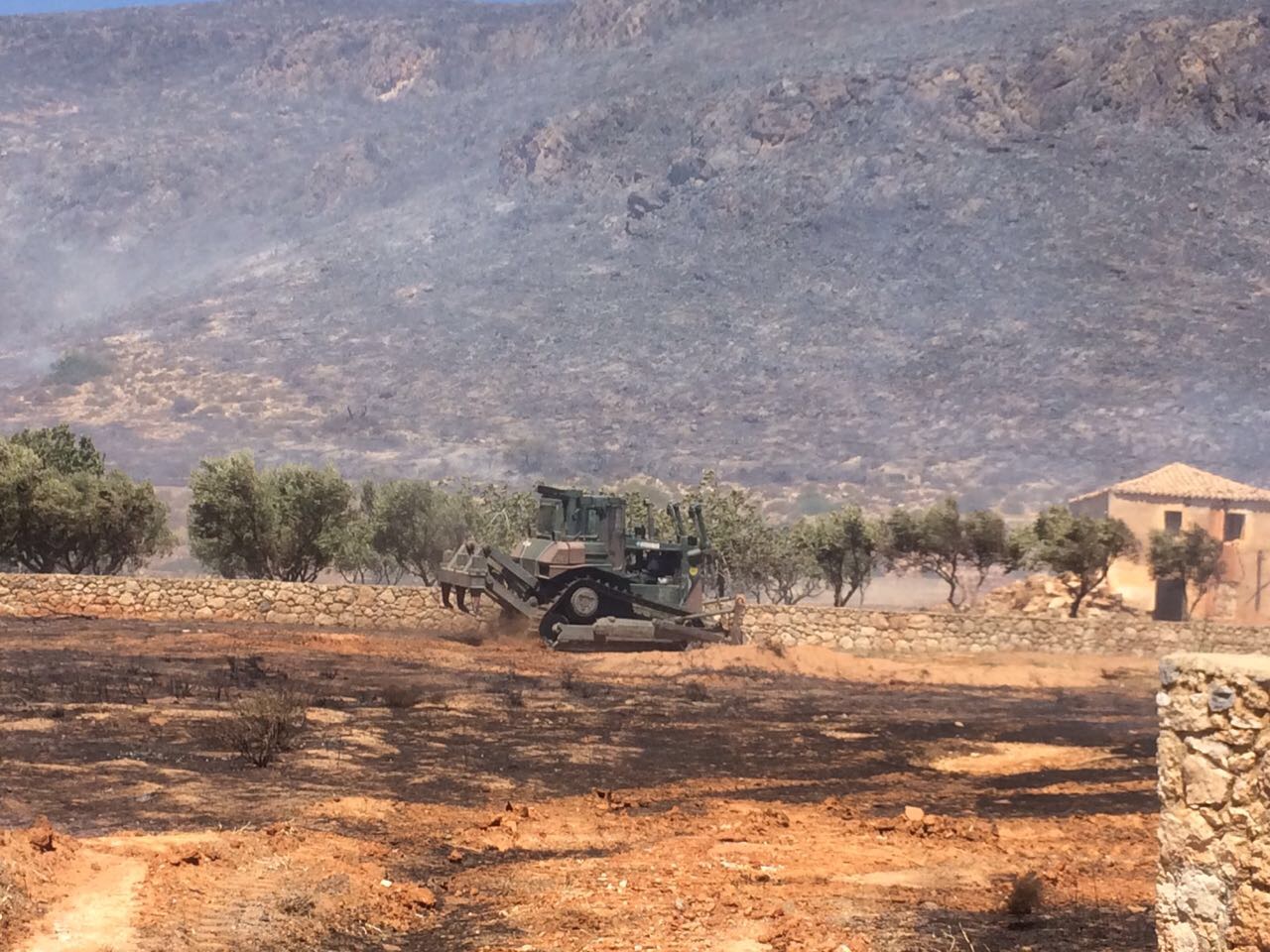 ΕΛΑΦΟΝΗΣΟΣ_11 ΑΥΓ 19 (15)