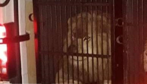 a-122