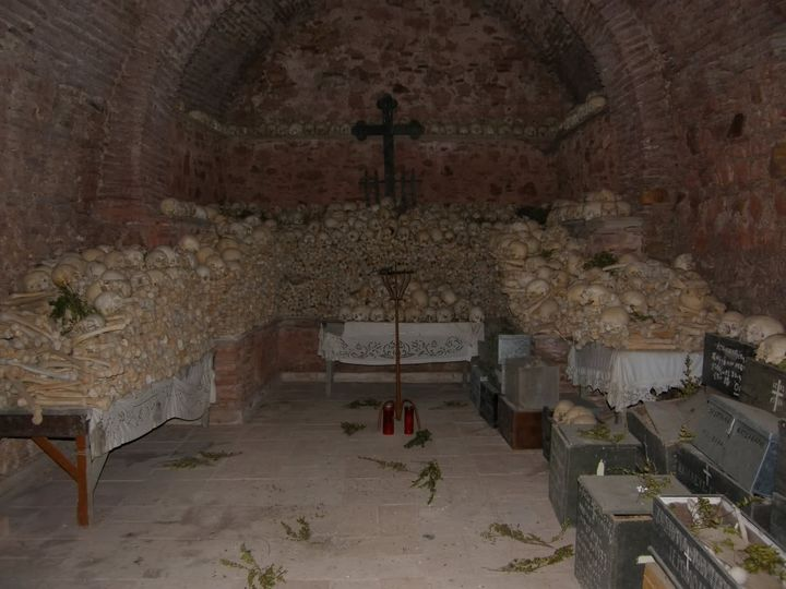 image (1)