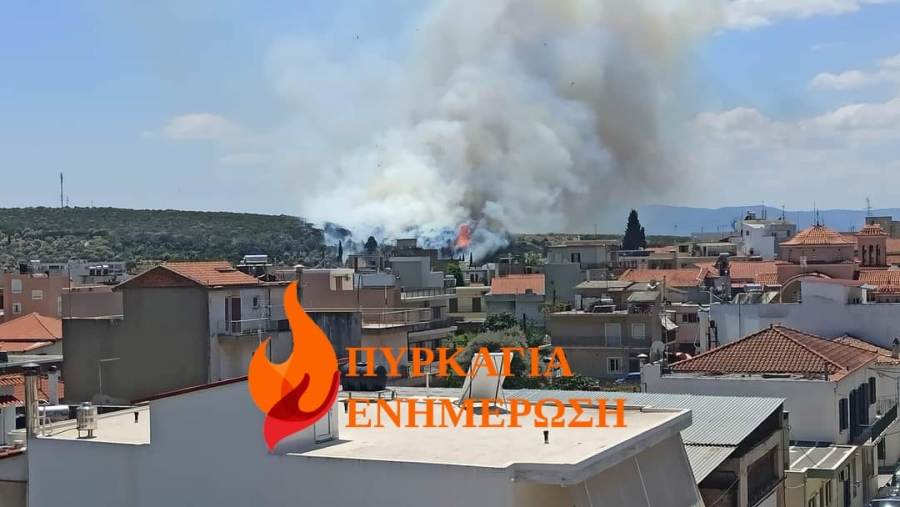 pyrkagia