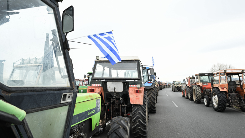 agrotes_mesa