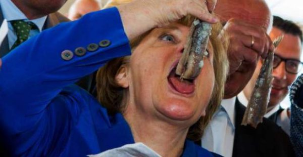 merkel