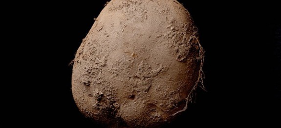potatoANOIGMA-575x262
