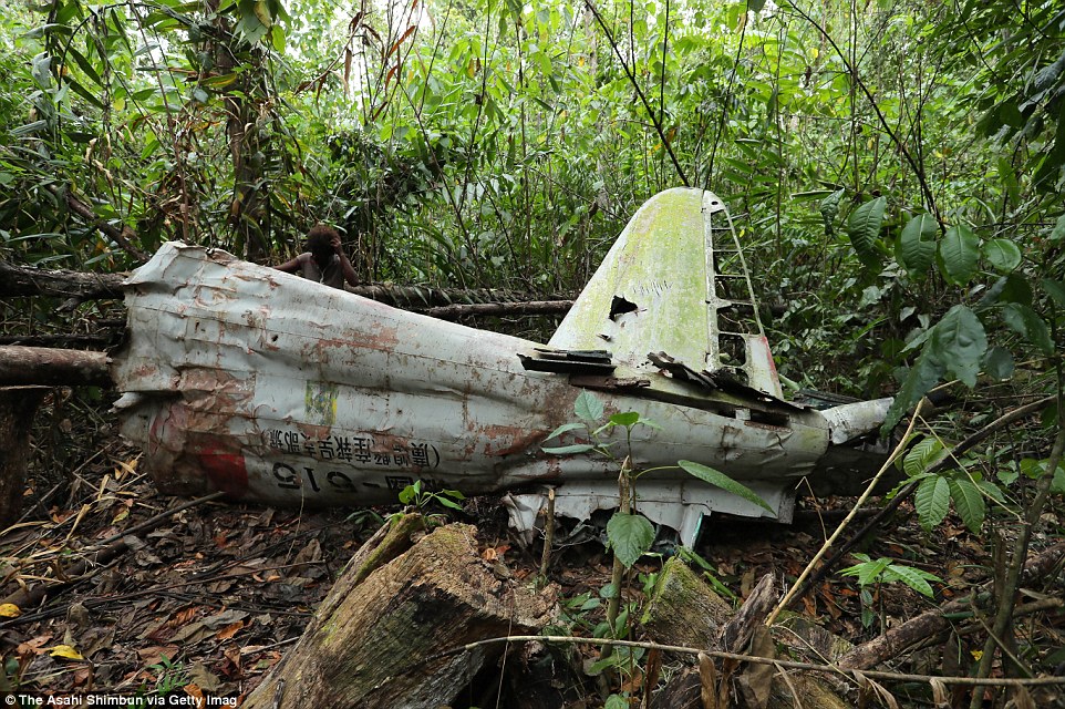 3B12186D00000578-4003520-Debris_of_Imperial_Japan_fighter_Zero_remains_in_a_jungle_on_Sep-m-83_1480982741758