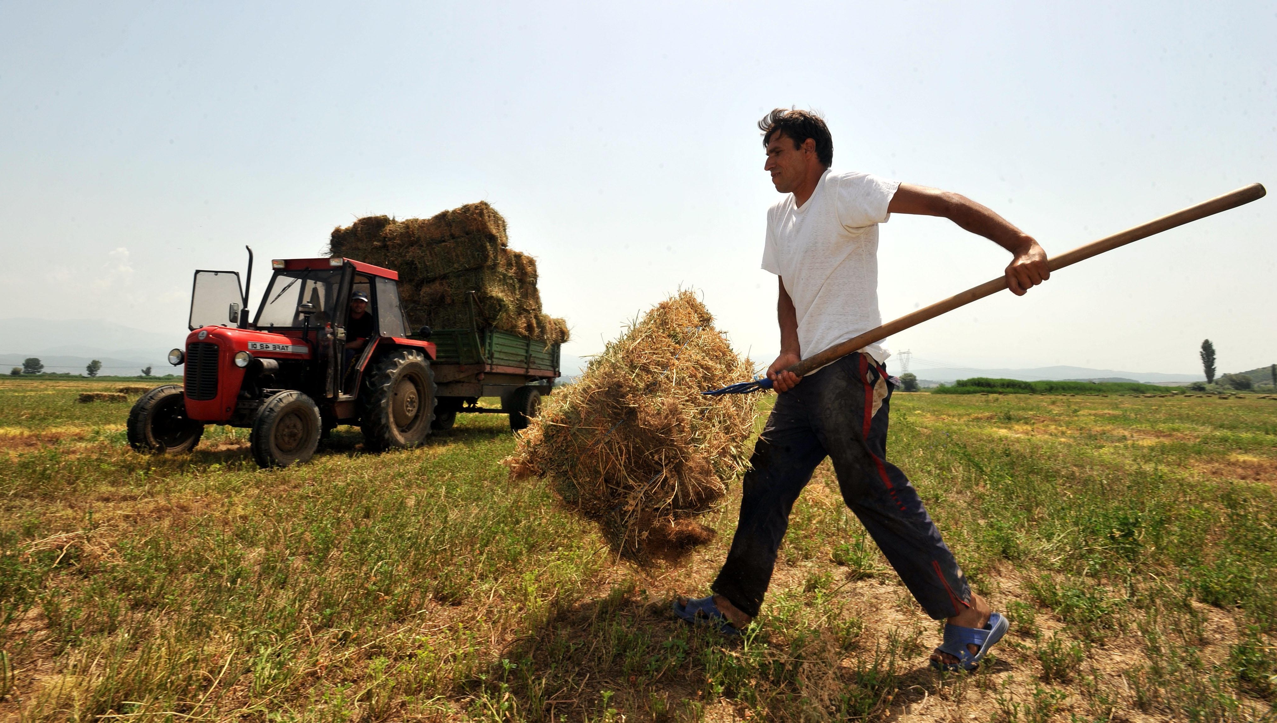 An unidentified farmer collects a bale of hay near southeastern Macedonian village of Stojakovo, on Monday, June 14, 2010.   (AP Photo/Boris Grdanoski)