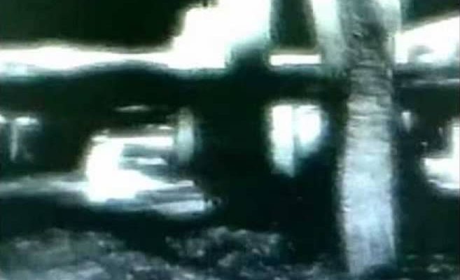 ktiria-stin-selini-film-astronauti-armstrong-video-657x400