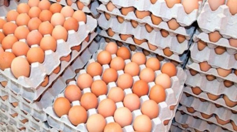 κρίση με τα μολυσμένα αυγά