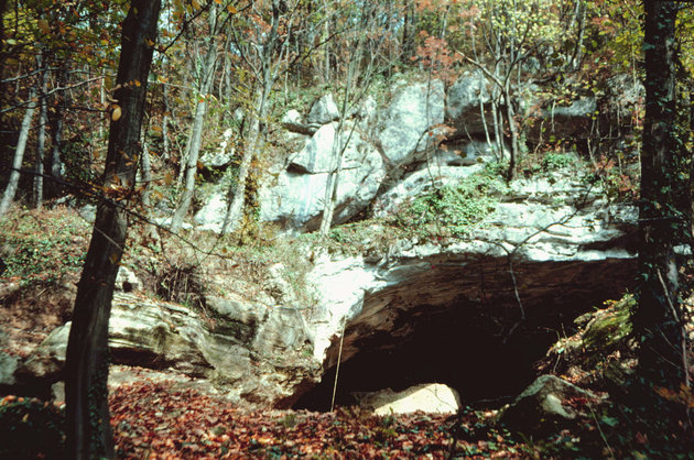 UNDATED FILE PHOTO - The Vindija cave site, which is about 34 miles (55 km) north of the Croatian capital of Zagreb, is shown in this undated file photo. Bones found in a cave in Croatia show that Neanderthals, once portrayed as grunting, primitive cave-men, lived as recently as 28,000 years ago - and probably interbred with modern humans, researchers said on October 25. Previous evidence suggested Neanderthals died out some 34,000 years ago, and were replaced by modern Homo sapiens. But an international team of scientists did more tests on the Neanderthal bones - found in the 1970s - and determined they were much younger than that.

JP