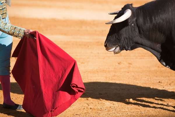 bullfight-1