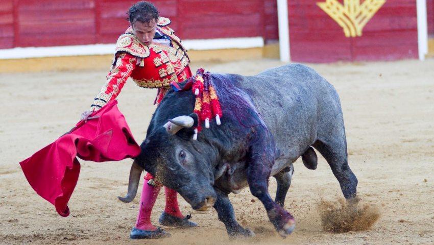 bullfight-3