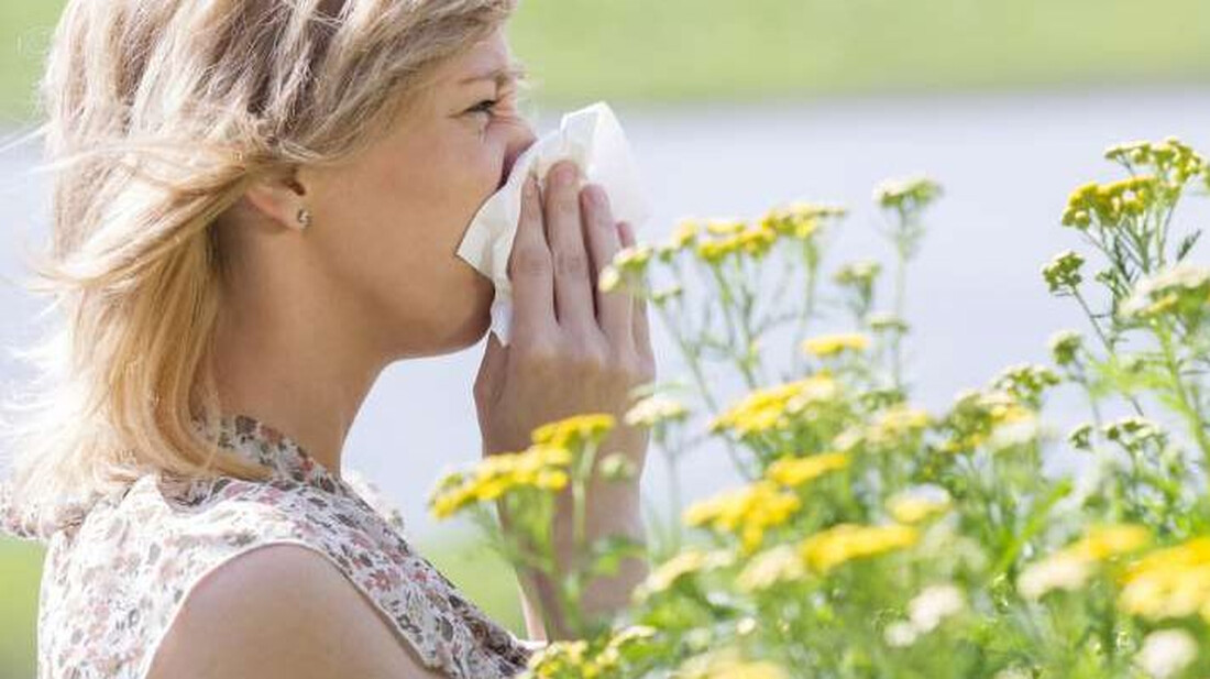 allergies-aitia-symptomata-tropoi-fysikis-antimetopisis-750x400