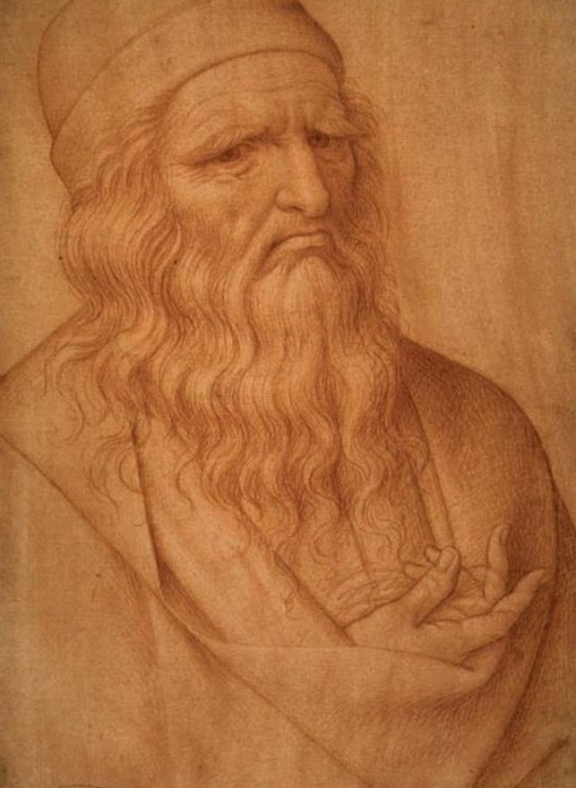 Da-Vinci-portret