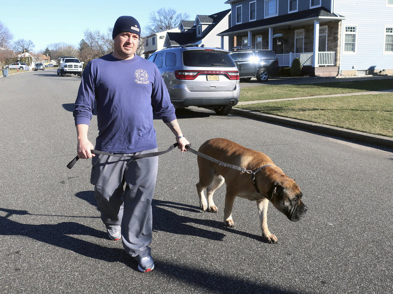 In this Jan. 14, 2019 photo, retired firefighter Lt. Michael O'Connell walks his dog outside his home in home in Westbury, New York. A Memorial Glade will soon open at the 9/11 Memorial & Museum to honor first responders who are sick or who have died from exposure to toxins at the World Trade Center after the 9/11 attacks. O'Connell suffers from sarcoidosis, an inflammatory disease, from his rescue and recovery work after the 9/11 terror attacks. (AP Photo/Ted Shaffrey)