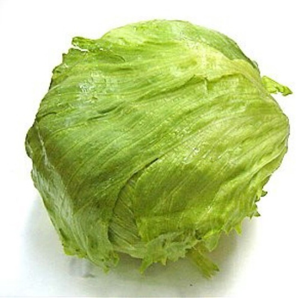 4-lettuce-storage