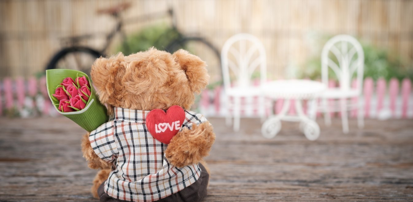 brown-bear-plush-toy-holding-red-rose-flower-1028729