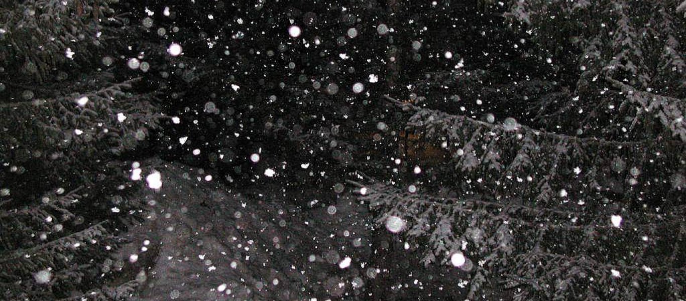 snow-snowfall-night