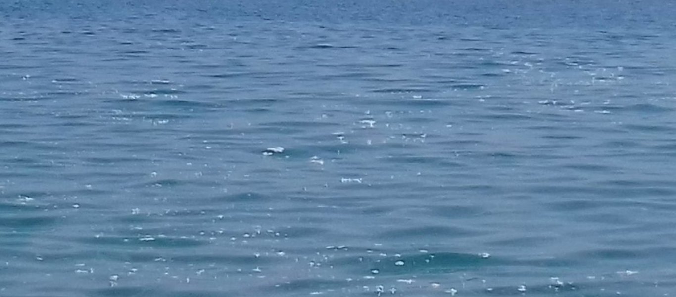 30917295_1891491477562142_1712624068_o-1200x675