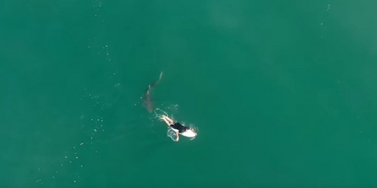Australia-surfer-shark-attack-2020-10-07