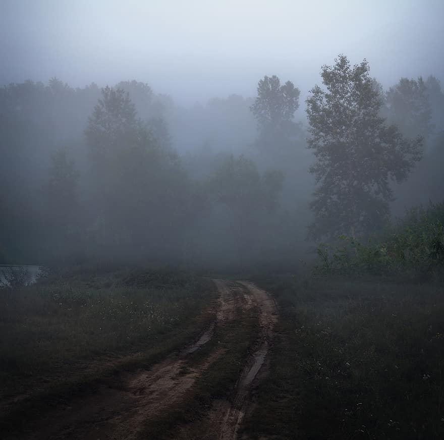 morning-fog-road-forest-mystical-summer-landscape-nature-fantasy