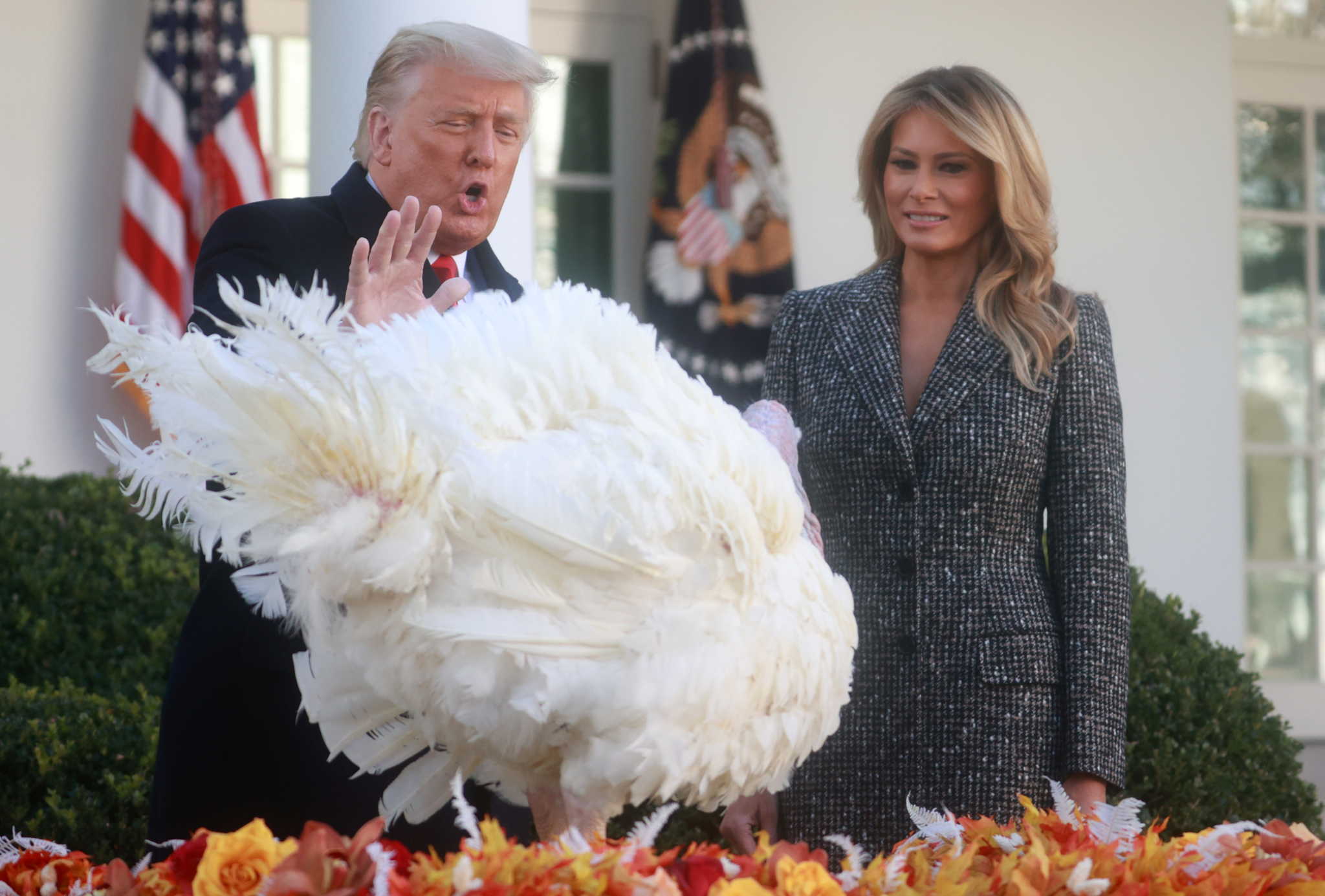 U.S. President Donald Trump stands with first lady Melania Trump as he pardons the National Thanksgiving Turkey "Corn" during the 73rd annual presentation in the Rose Garden at the White House in Washington, U.S., November 24, 2020. REUTERS/Hannah McKay