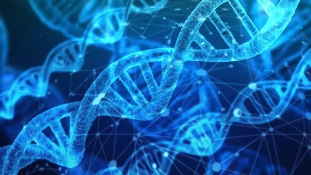 DNA