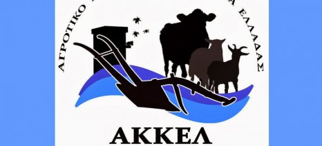 akkel_logo_3