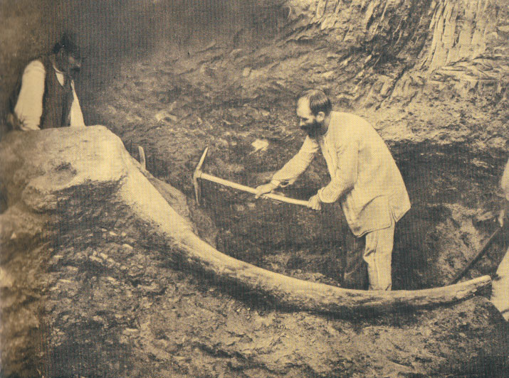 Μεγαλόπολη 1902. Ανασκαφή μαμούθ από τον καθηγητή Θεόδωρο Σκούφο