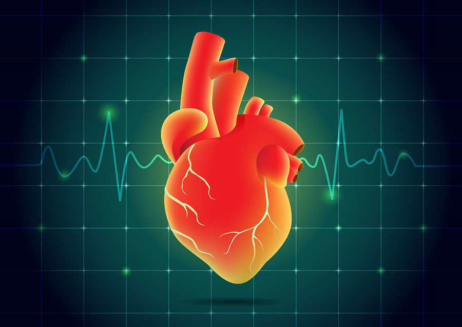 Human heart red color on pulse monitor background. Illustration about health and medical.