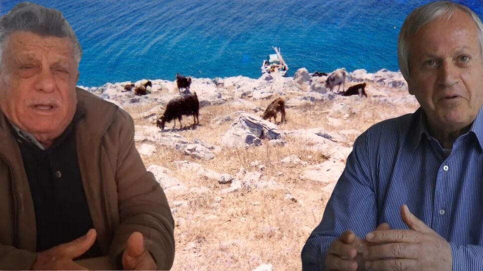 imia-voskos-dimarxos-5