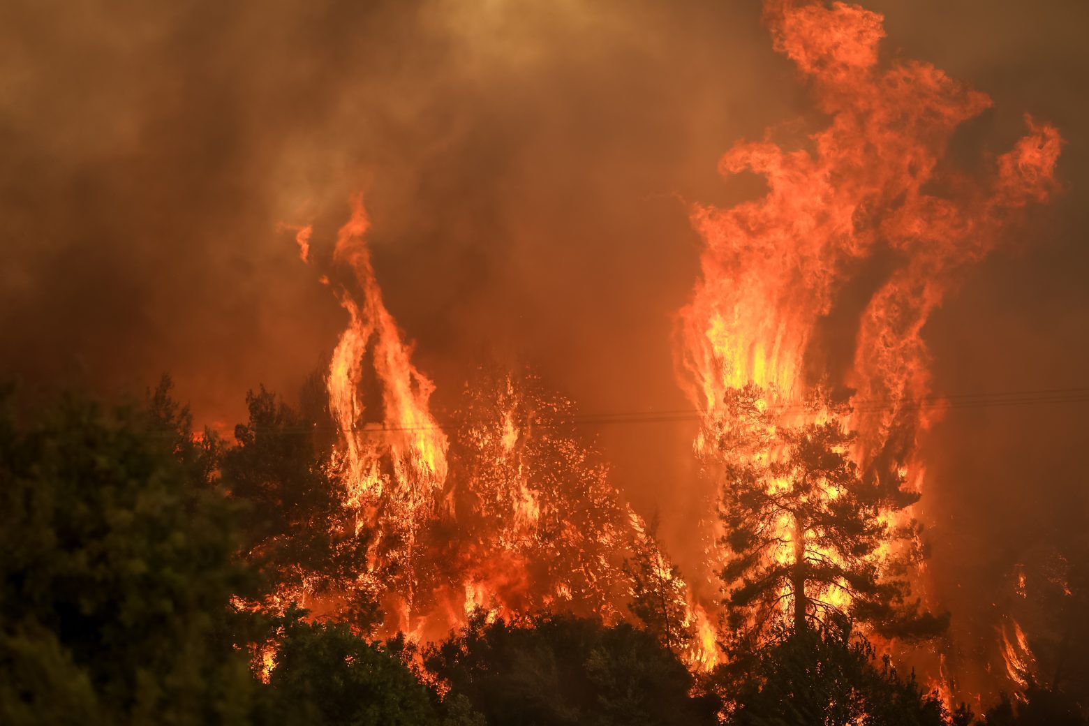 Μεγάλη φωτιά στην Κάρυστο – Δυνατοί άνεμοι στην περιοχή | e-sterea.gr