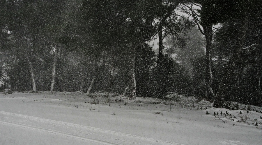 Χιονόπτωση στην Ιπποκράτειο Πολιτεία, Δευτέρα 24 Ιανουαρίου 2022.
(ΔΙΟΝΥΣΗΣ ΠΑΤΕΡΑΚΗΣ/EUROKINISSI)