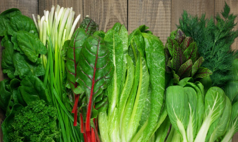 Spring vitamin set of various green leafy vegetables on rustic wooden table. Top view point.
