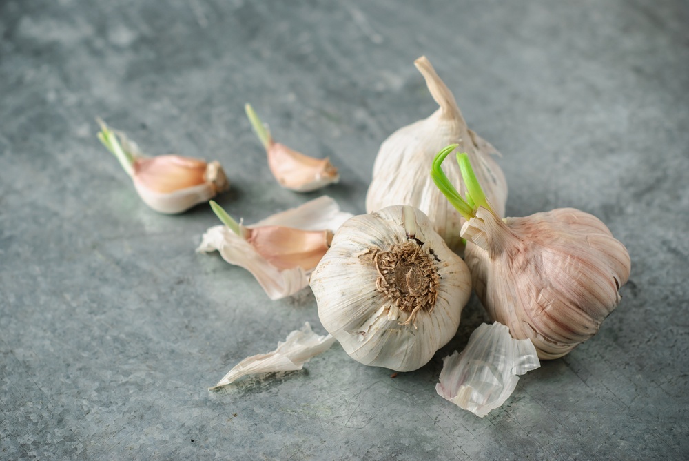 Garlic,Cloves,And,Garlic,Bulb,On,Old,Vintage,Metal,Background