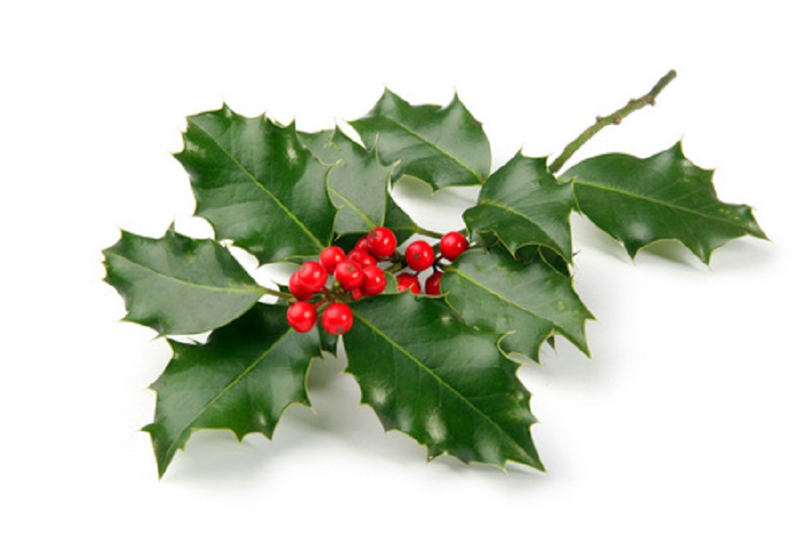 Εσείς ξέρετε τη διαφορά μεταξύ του “Ου” και του “Γκι”; Makeleio.gr