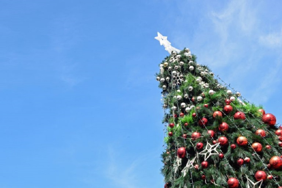 christmas-tree-