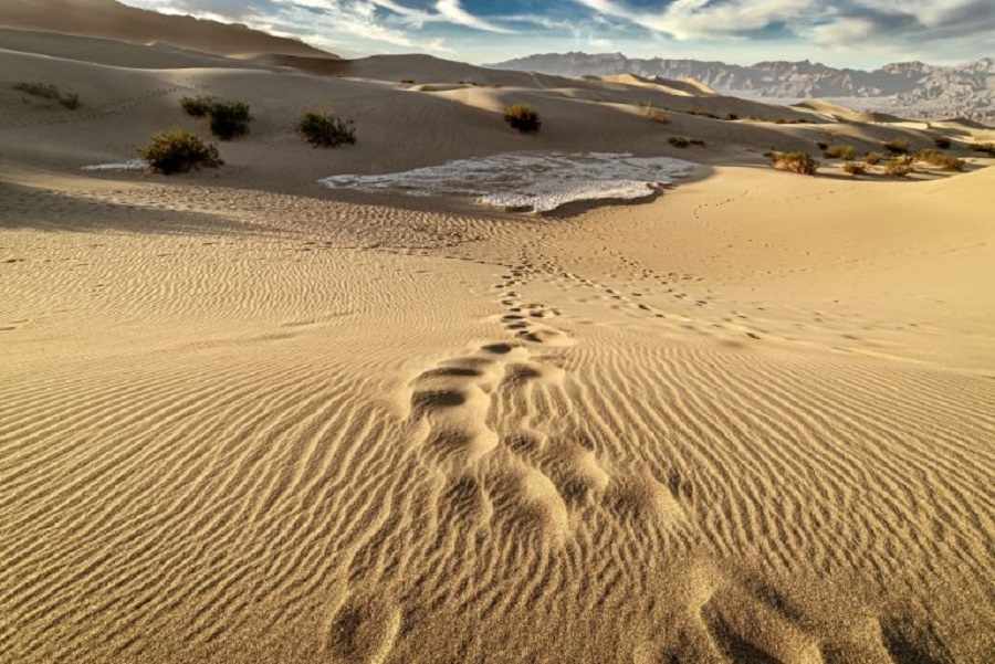 beautiful-scenery-mesquite-flat-sand-dunes-death-valley-california-