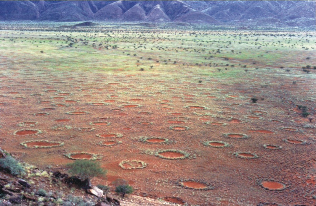 Fairy-circles-Namibia-3