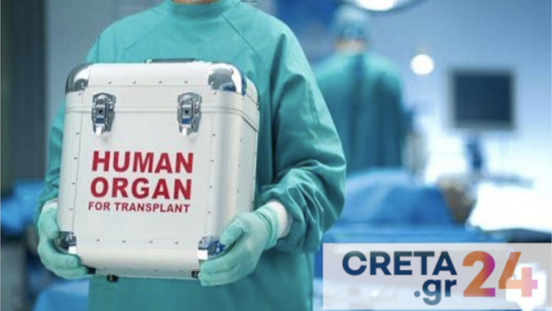 human-organ