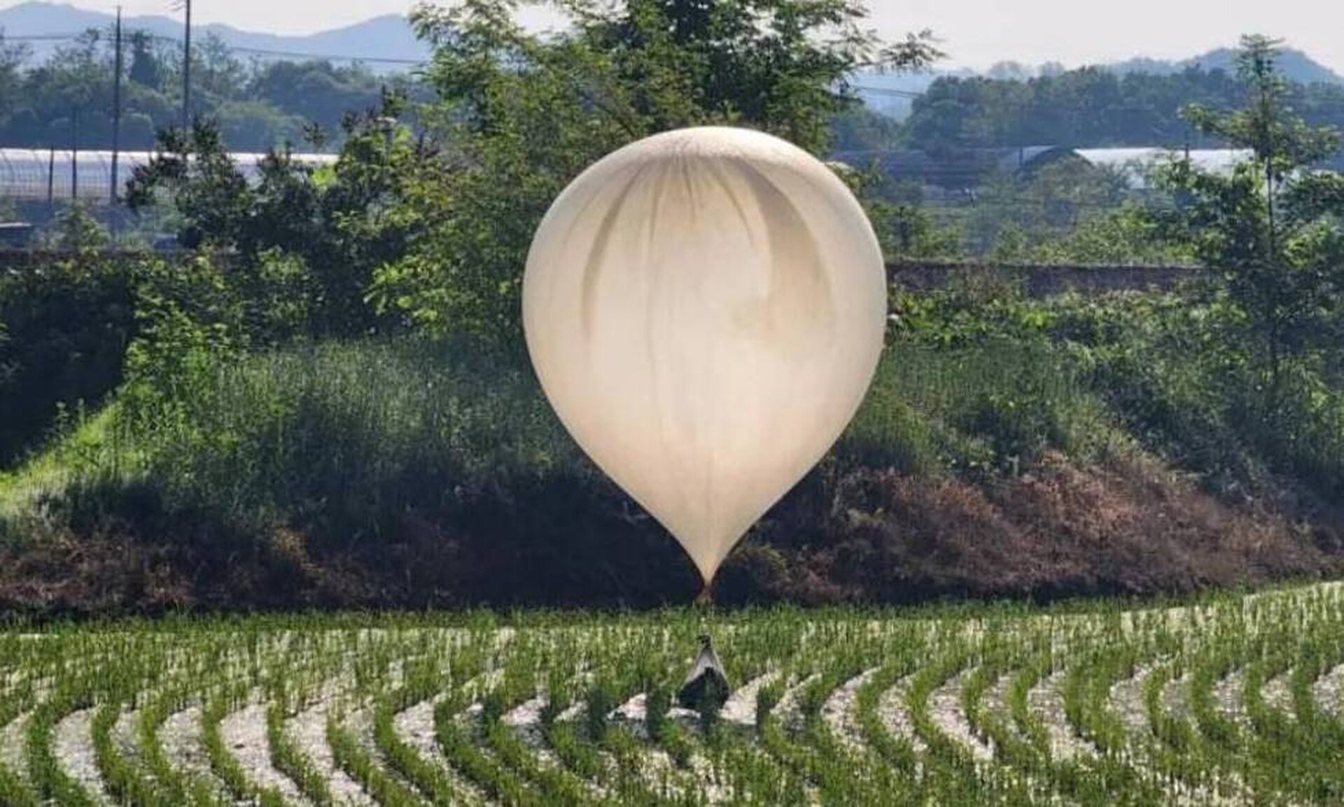 baloon.jpg